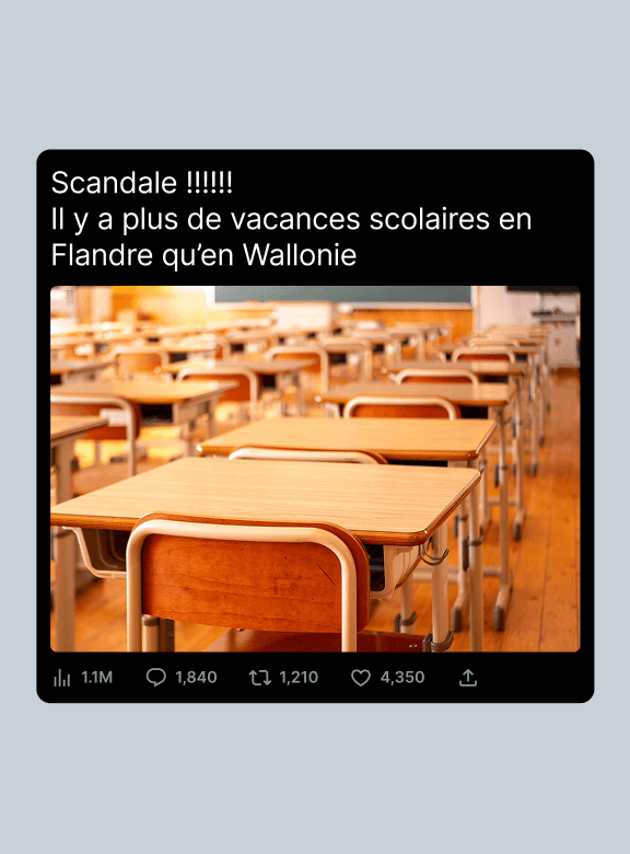 Chatons attendrissants